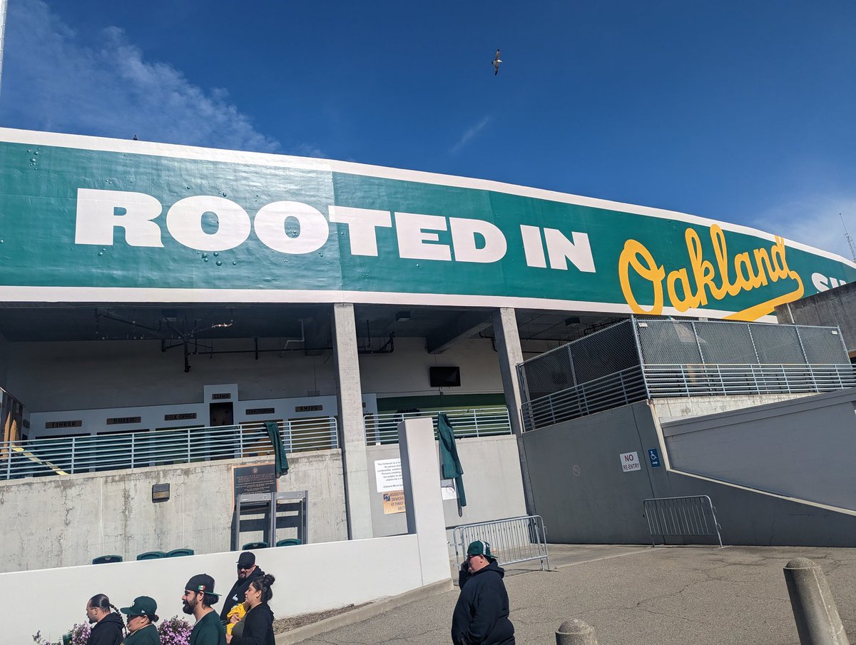 Drill Bit tweet media