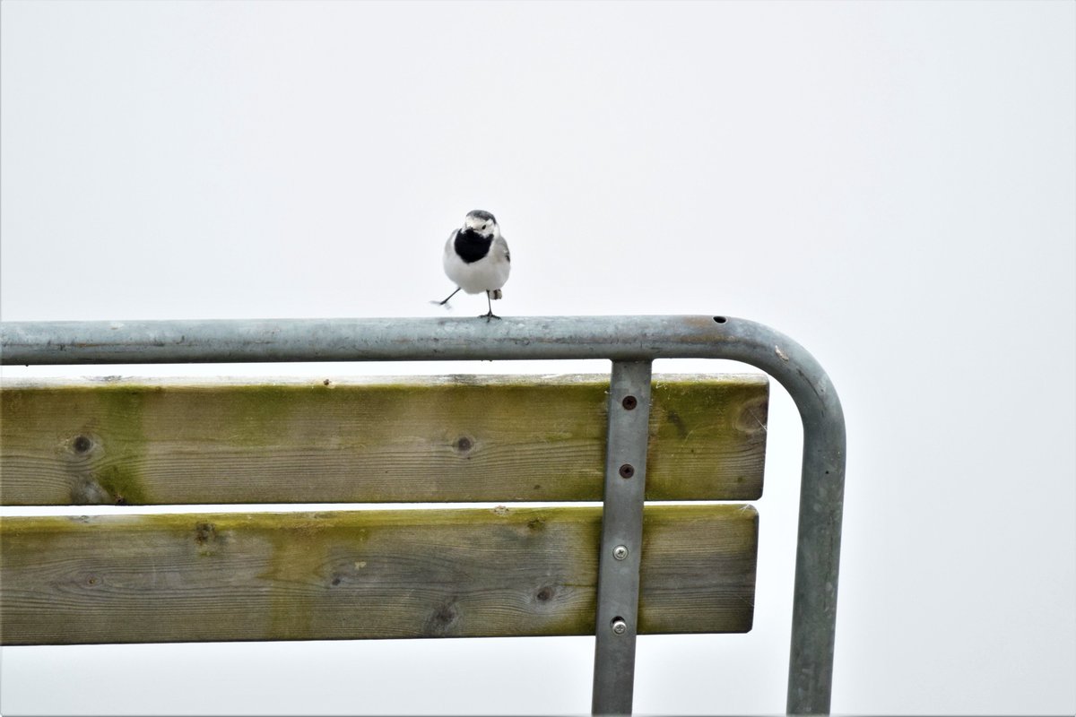 Kesä keikkuen tulevi, vappuaattoon ei päivääkään.