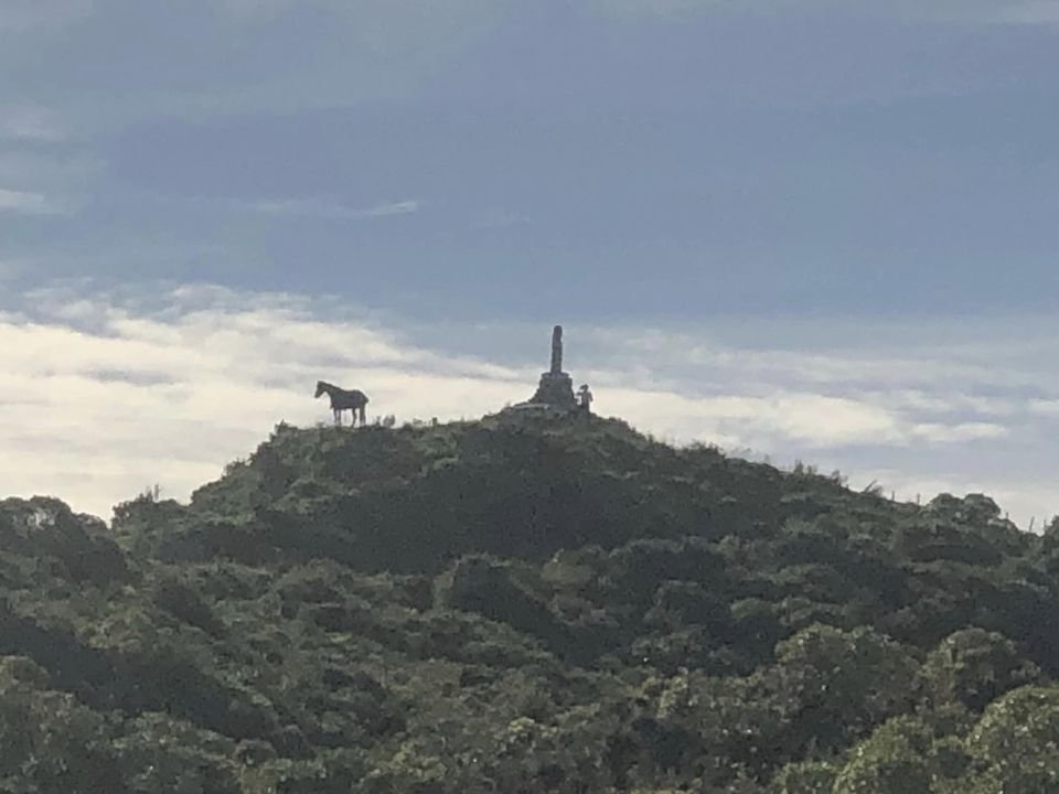 Lovely stroll today: