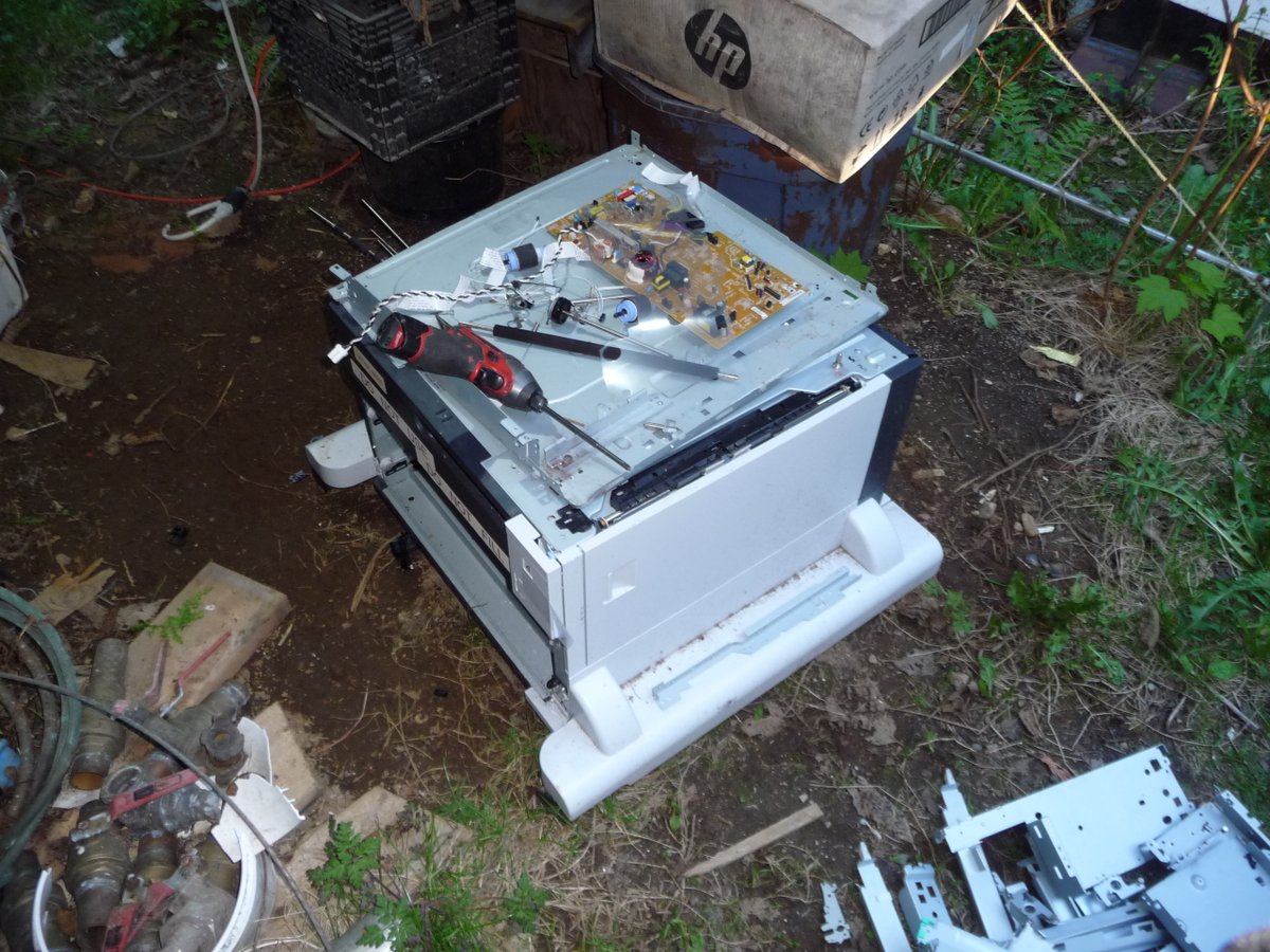 Rue Mohr🇨🇦 tweet media