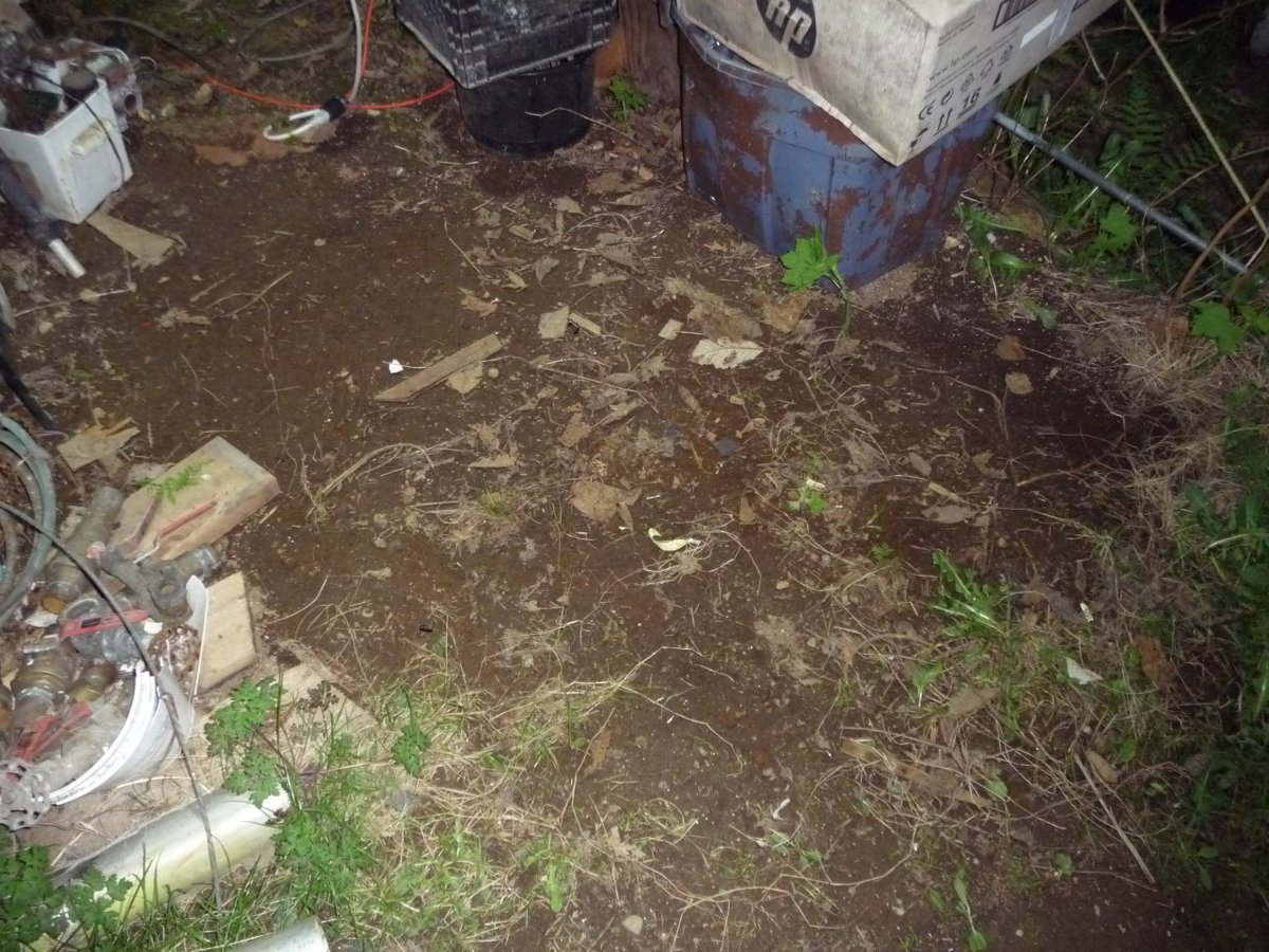 Rue Mohr🇨🇦 tweet media