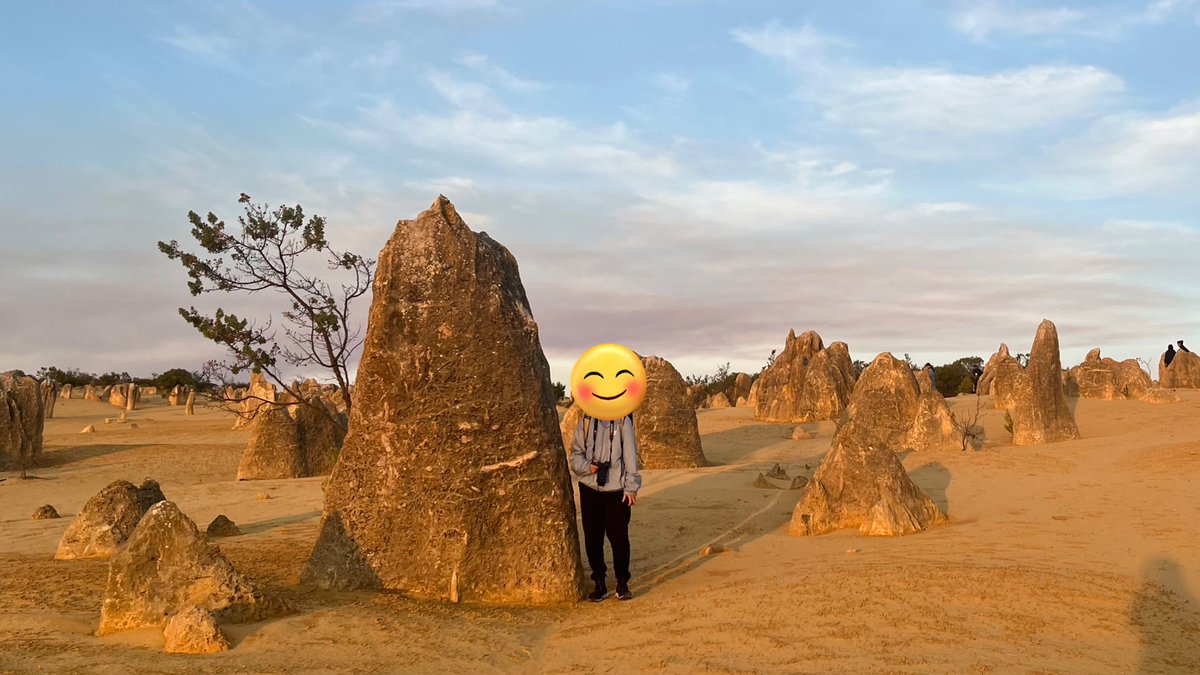 ma2021_9's tweet image. 昨日のピナクルズサンセットは思ってたより壮大で良かった🪨🌅

#Perth旅行
#Pinnacles