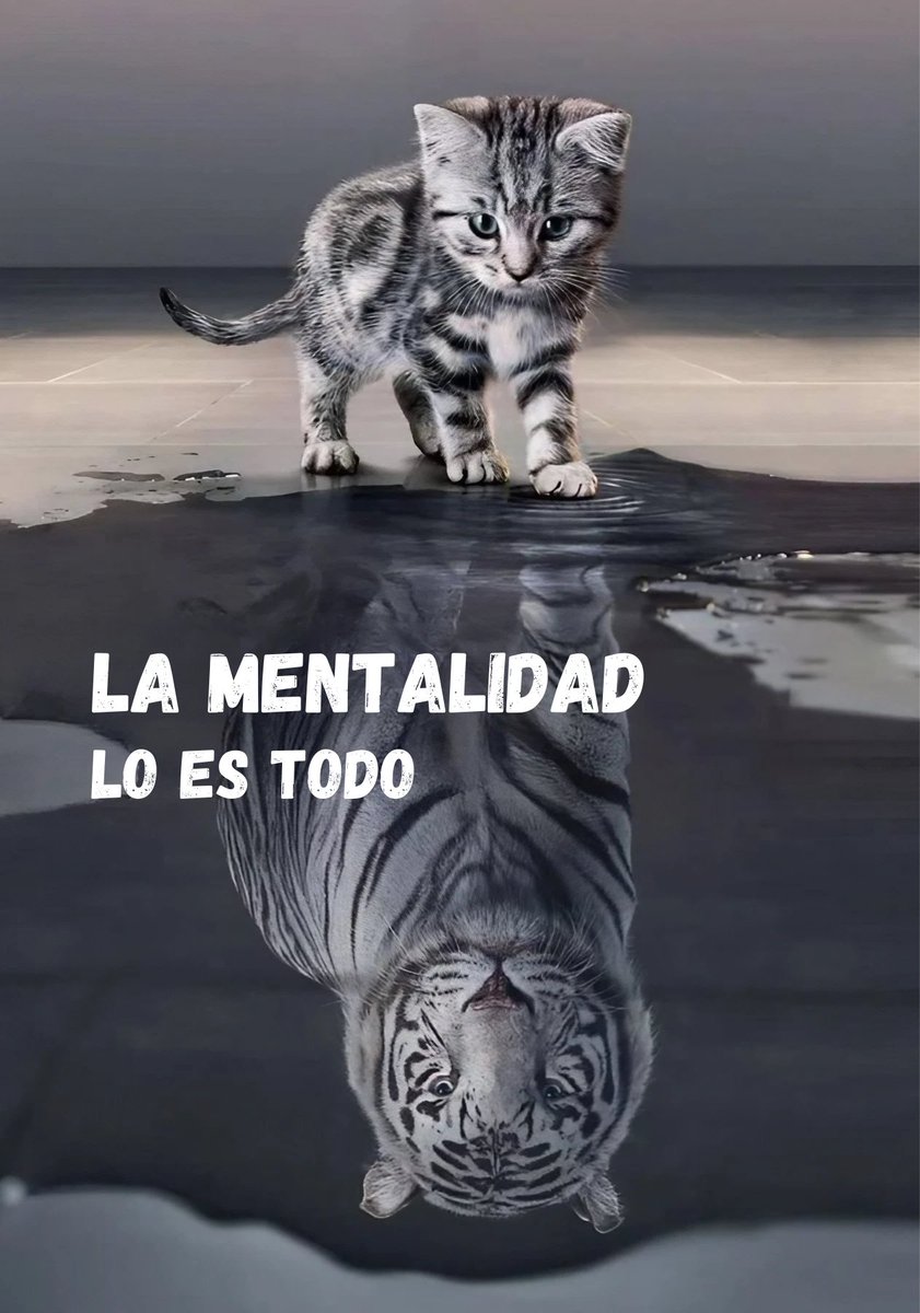 DanielFdz28's tweet photo. Toda la vida https://t.co/Vg54ApXqaD