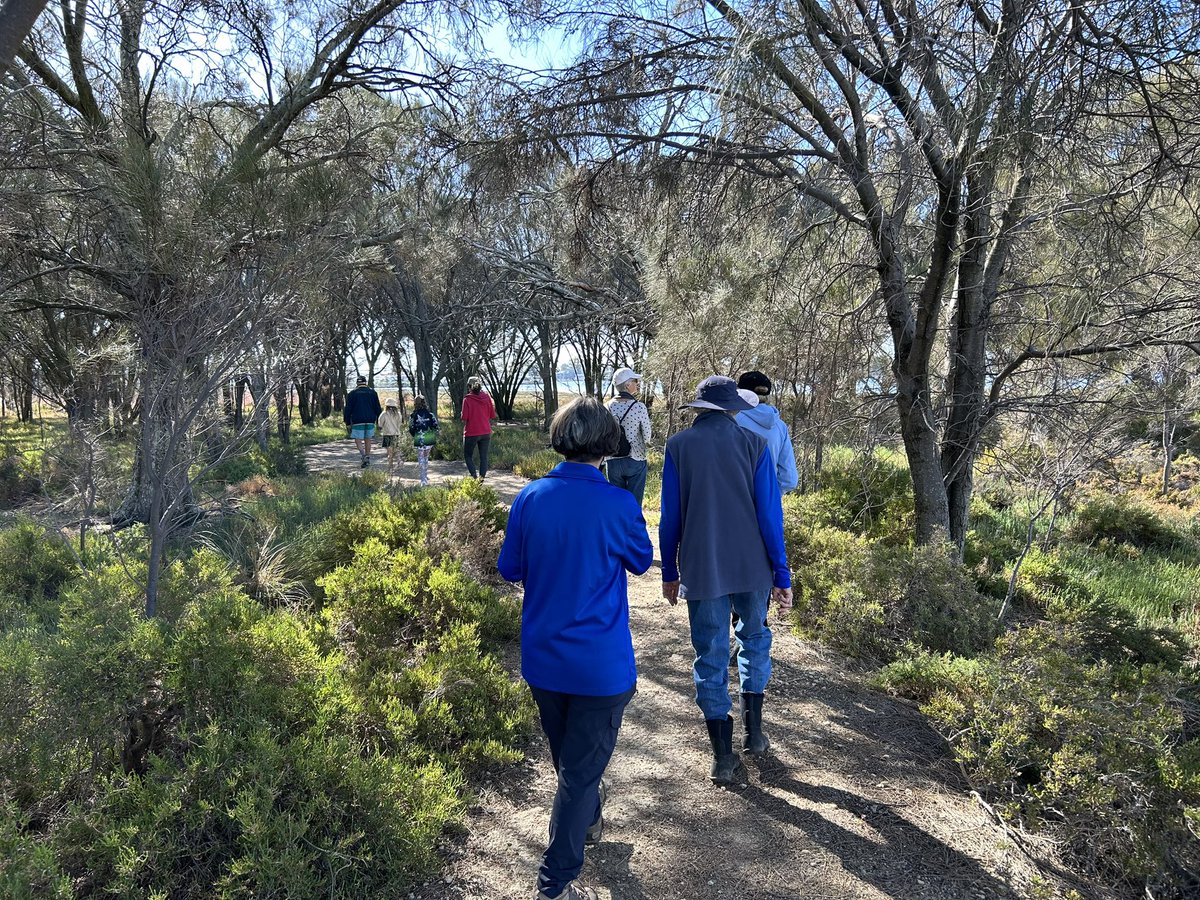 Renee Barton PHCC tweet media