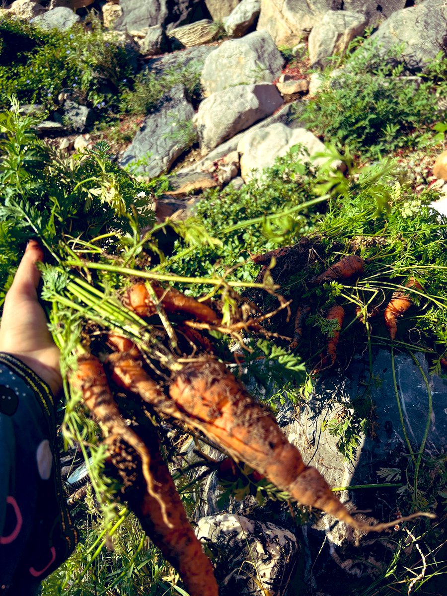 على هذا الكوكب 
لا بد أن تستخدم كل ذكائك 
كي " تعيش" .. 
وتستخدم كل غبائك 
كي " تتعايش "