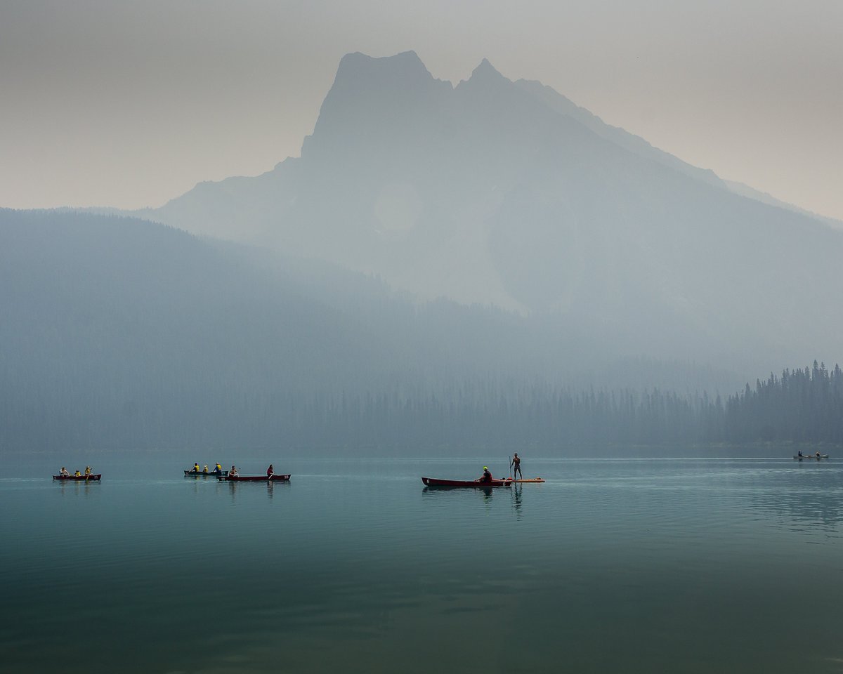 The #CMRoachPhotos shop will close at 11:59pm on May 31, 2023. Now’s the time to get your last purchases in - prices on the shop reduced by around 25% to say thanks!

Want to browse the pictures for sale: 
cmroachphotography.ca/buypictures