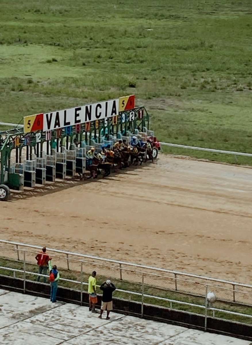 elyaquein's tweet photo. Sábado 29 de Abril 
Antes que termine Abril 
 Visitamos el Hipódromo de Valencia óvalo del Cabriales
💐 Agradecidas por su deferencia hacia nosotras @OficialHinava  

Siempre es grato compartir bajo el bendito sol Valenciano ☀️
De nuestra parte apoyar el resurgir de HINAVA https://t.co/gHO2WQciuc