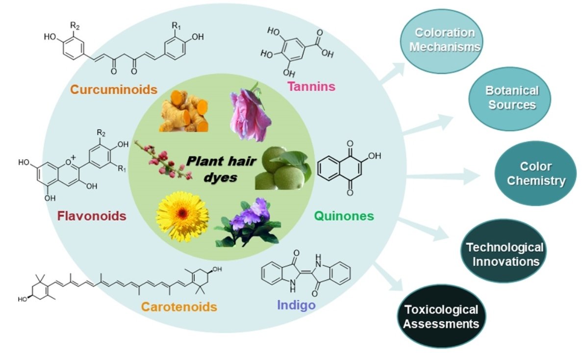Molecules_MDPI's tweet image. 📌#planthairdye #naturalcolorant #colorationmechanism #mordant #encapsulation #cosmeticsafety
New Publication “Recent Advancements in Natural Plant Colorants Used for Hair Dye Applications: A Review”
By: Ying Tang, et al. 
👉 mdpi.com/1420-3049/27/2…
#mdpimolecules #NewPublication