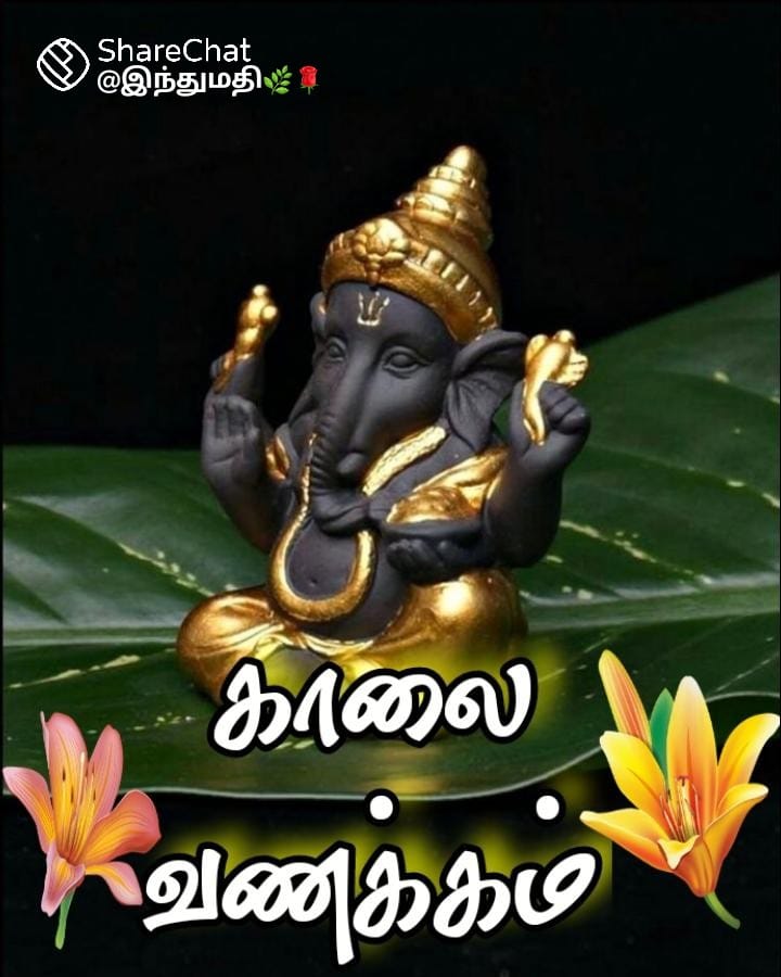 இனிய காலை வணக்கம் நண்பர்களே 

இன்றைய நாள் இனிதாக அமைய எல்லாம் வல்ல இறைவனை வேண்டுகிறேன்