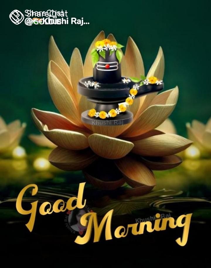 Singaraj.V (@singara31935497) on Twitter photo 