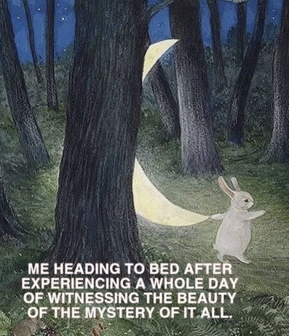 whotfisjovana's tweet image. 