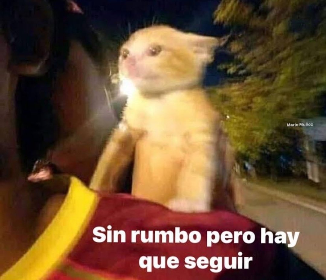 Guarromantico_'s tweet photo. A mimir. https://t.co/eoxTAJ2mqR