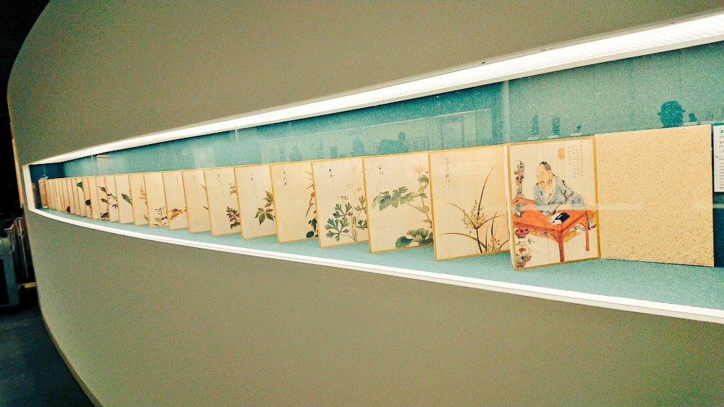 漢方薬でよく聞くダイオウの葉っぱの大きさを初めて知って、薬草図の美しさに癒されて、薬問屋に興奮して、建物のかわいさにキュンとなるくすり博物館です。
https://t.co/f0Pp1xGx0a https://t.co/53P2s8myPq