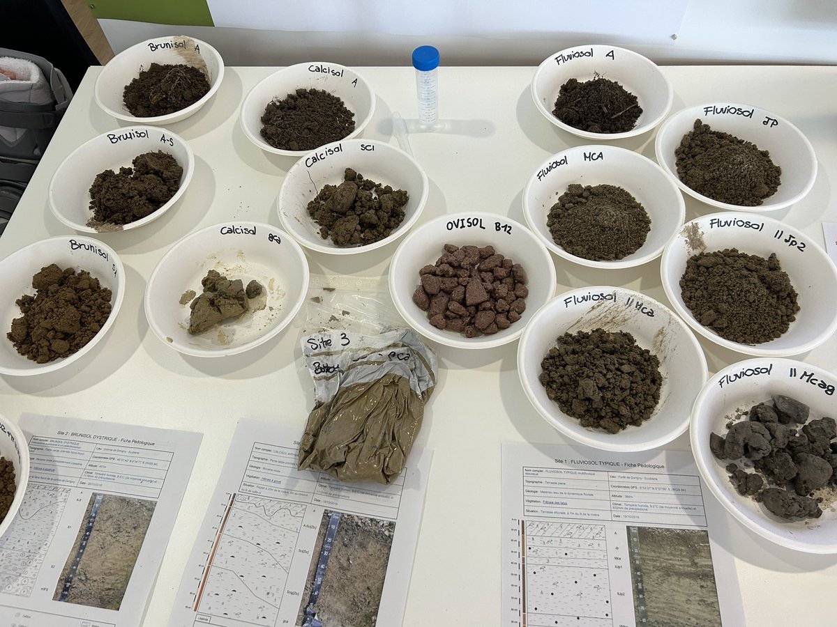 EPFL-SOIL Group tweet media