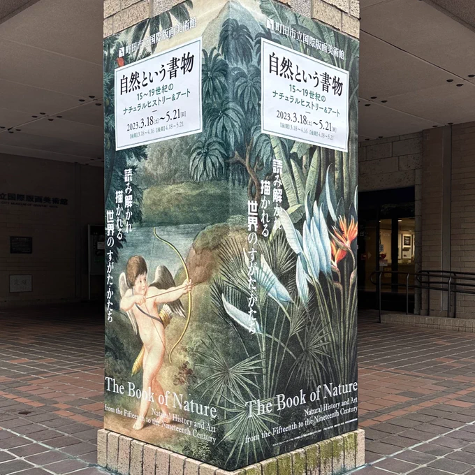 今日マチ子展見た後に町田市立国際版画美術館で #自然という書物 展を鑑賞。15世紀〜19世紀の図鑑の中で描かれた動植物の表現、20世紀からのアール・ヌーヴォーの様な装飾としての植物の表現を見るのが興味深い。 