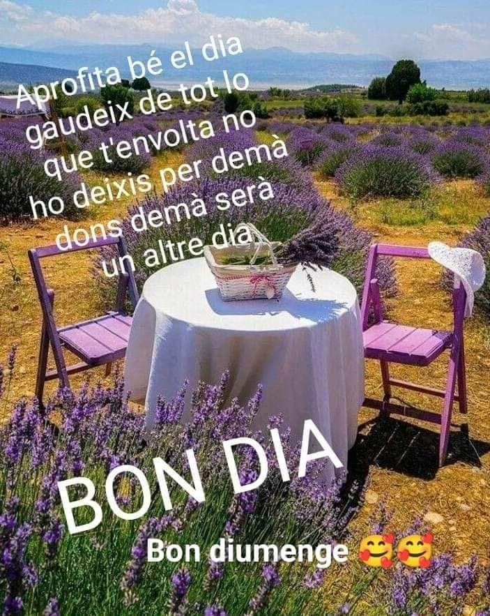 CROcultura1's tweet photo. @JoseMar72168618 @gisela_lloveras @RepublicaToni @ALlanosMassa @Tonilleida5 @Esquitx17 @EvamolloNov @ABalagu @GRANOTA15 @Montser40317871 @Neusnans @Anna09239196 @pagoga15 @Maru76333751 @Rosampl2 @negua597 @RosaMariaS1 @MonicaLondres @royo1_royo @Segismunda11 @RocaMarsroca @angelet14917187 @RawsonGladis @EnsenyatAntonia @mixpelirroja @Matpaiper @lamevaombra @MnicaRebullCome @Pilar70116971 @rousdays @NriaBadia3 @arilambrecht @LlopisLluisa @JosepMaCalaFont @Montse66433277 @maggiemarge1 @Geno_SG @Altafaja1P @cleo_o_patra @indy_catalana @RosamPlanes @planes_rm @mari_planes @tristanbernard9 @MarAnBeth_EC @norasgutierrez @OrfiliaCar77890 @Mercadona @MONTSEC1 @montsept0701 Bon dia 🌞 Josep Maria🎗️
#BonDiumenge
Avui ha gaudir amb la passejada i la visita als amics del bar...
Gaudeix de l'infusió de camamilla... Ja que de moment no pots fer el #tallat https://t.co/Gk1vizUxIu