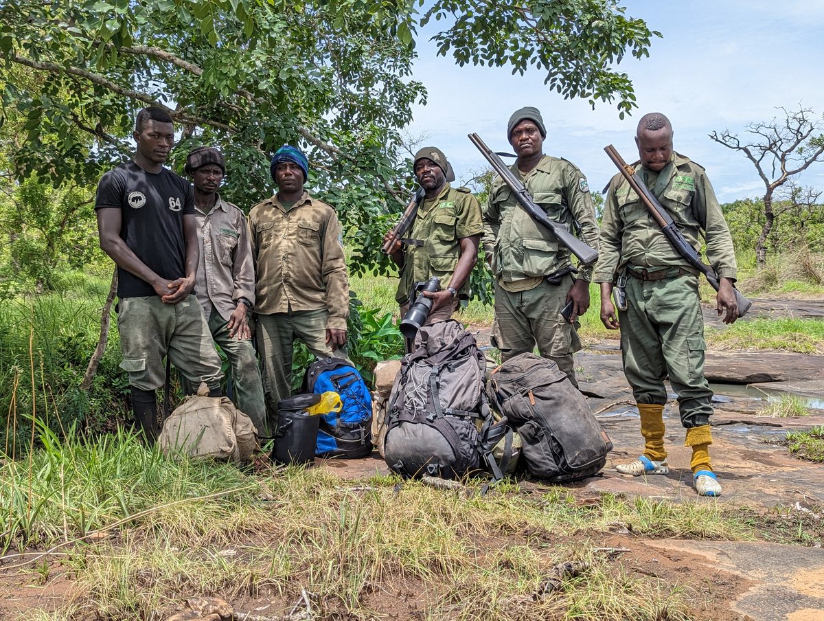 mak2kofi's tweet photo. Exciting working with Digya NP, @fcghana2020. Collaboration btwn @cbcrgh @Monitor_Species to build the capacity of PA staff in using camera traps to improve monitoring and management. Looking forward to the results. https://t.co/yMXHOtXd1L