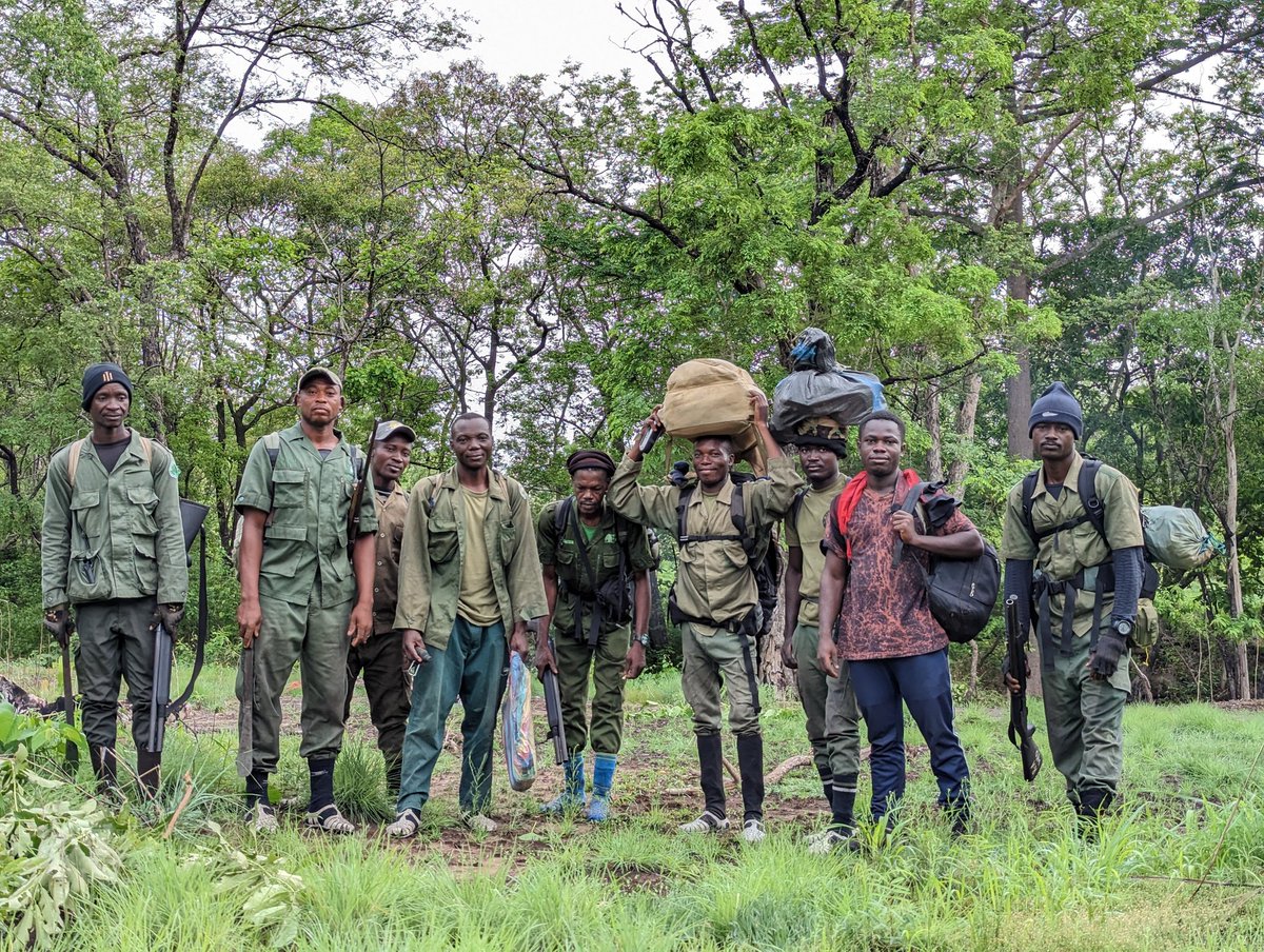 mak2kofi's tweet photo. Exciting working with Digya NP, @fcghana2020. Collaboration btwn @cbcrgh @Monitor_Species to build the capacity of PA staff in using camera traps to improve monitoring and management. Looking forward to the results. https://t.co/yMXHOtXd1L