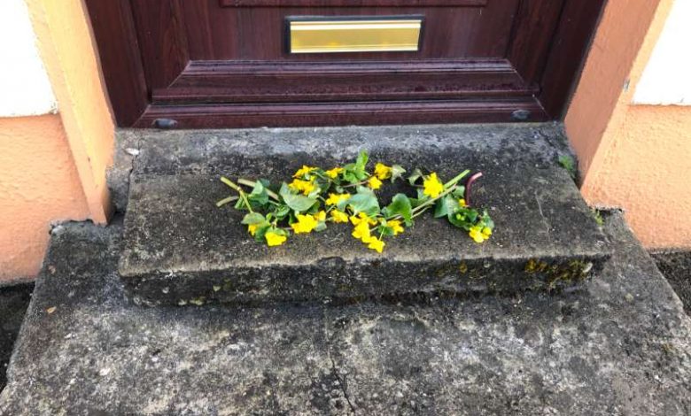 lorraineelizab6's tweet photo. For May day, don't forget to leave flowers outside your door this evening (30 April)! Important Bealtaine tradition to keep you safe from the fairies! Yellow flowers popular; marsh-marigolds, primroses, buttercups, gorse! #Beltane #Ireland #FolkloreSunday https://t.co/kL4pdZyfS9 https://t.co/mtD3l8QOWa