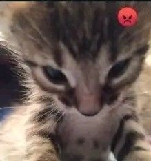 xpwcx's tweet photo. @KaczkaWjezioro @ventisleftshoes https://t.co/6jvmOi5wTK