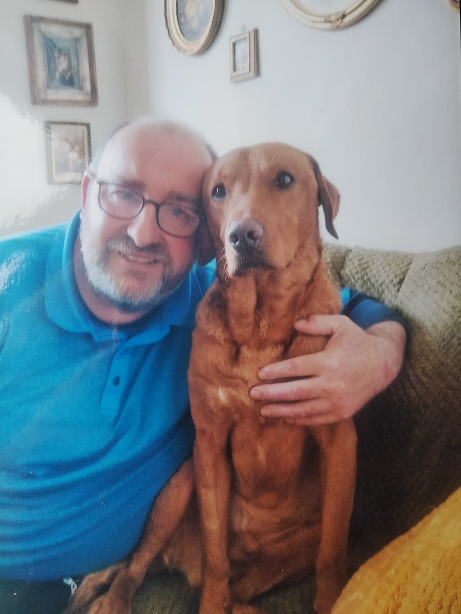 Harrod15S's tweet image. Today is a very difficult day, it's 1 yr today we lost this precious beautiful boy Morgan aka (Waggy-doo) to congenital kidney failure he was only 2 bless him, we miss him every single day, this was one of the last shots of us together 😥😥😥 #rainbowbridge #labrador #sadday