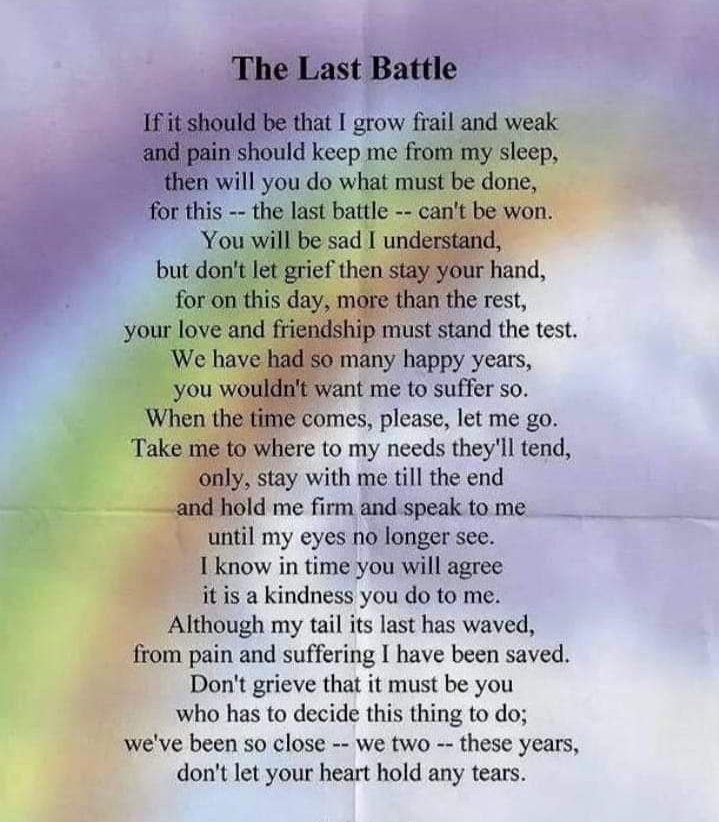 Harrod15S's tweet image. Today is a very difficult day, it's 1 yr today we lost this precious beautiful boy Morgan aka (Waggy-doo) to congenital kidney failure he was only 2 bless him, we miss him every single day, this was one of the last shots of us together 😥😥😥 #rainbowbridge #labrador #sadday