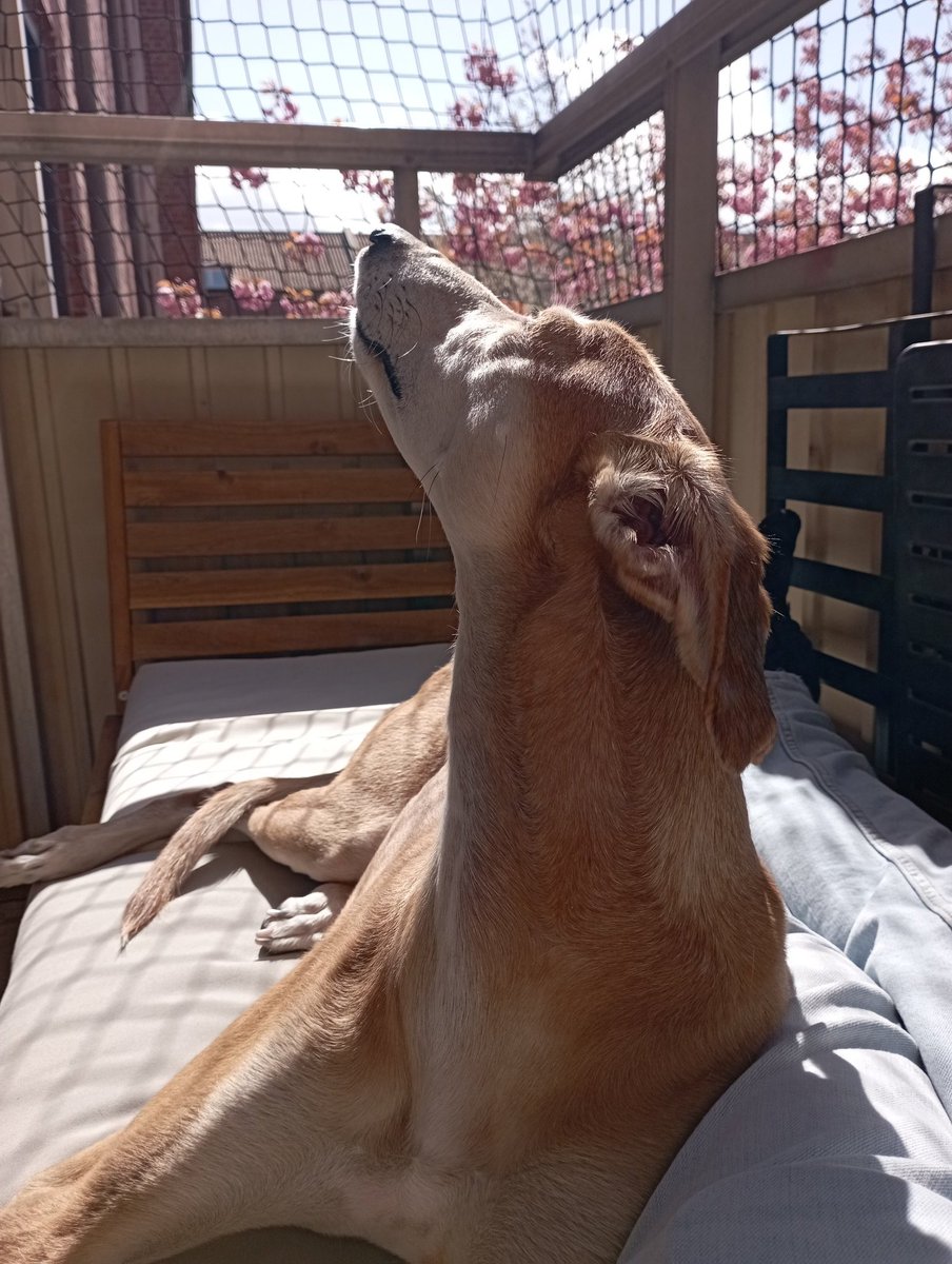 lidandets rike (@lidandetsrike) on Twitter photo 