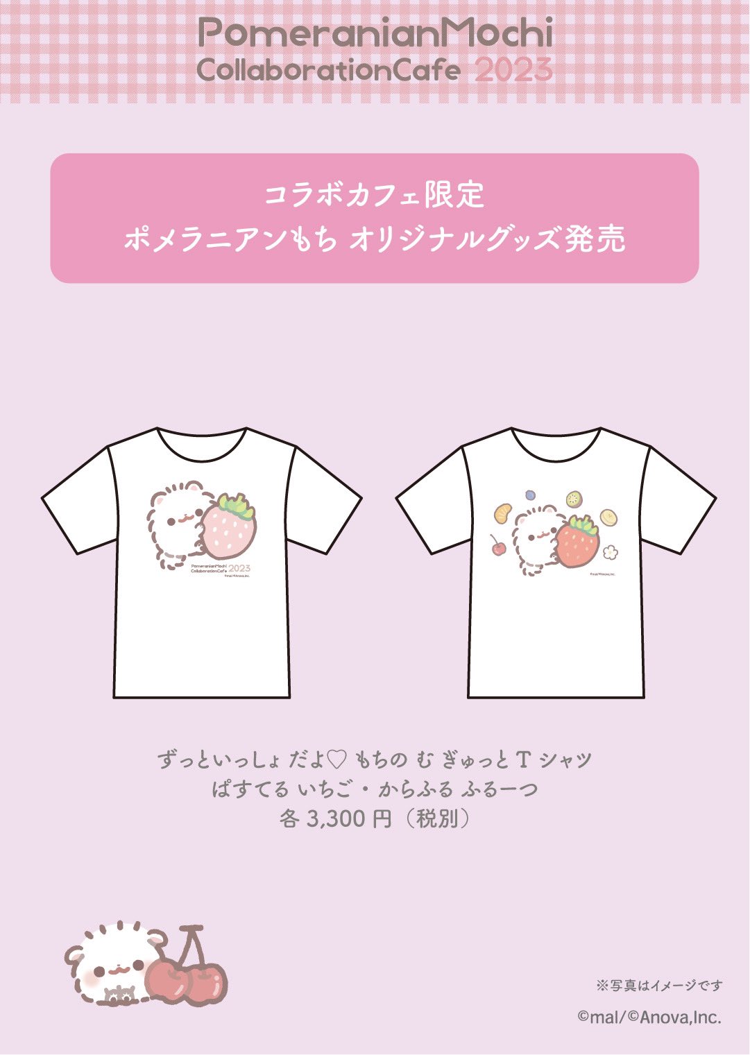 Amazon.co.jp: ポメラニアンもち もち ぷりぬい tシャツ 量産型