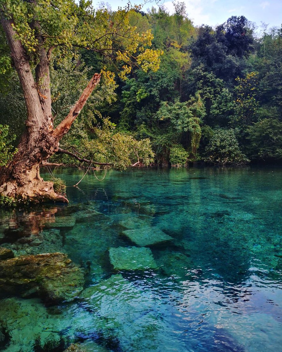 Une piscine naturelle entourée d'une végétation luxuriante : découvrez Mole di Narni, au cœur de l'Ombrie. Saurez-vous relever le défi et partir à la découverte de ce joyau de la nature ?

📍<a href="/UmbriaTourism/">Umbria Tourism</a> 

📷 IG  danielemartuk84

#LiveItalian #ilikeitaly #Itinerary #narni