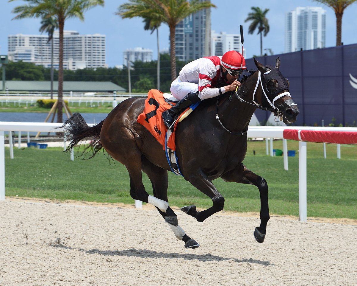SaffieJosephJr's tweet photo. #30Apr Li Li Bear 

Jockey: Leonel Reyes 
Trainer: Saffie Joseph, Jr. 
Owner: Vegso Racing Stable 
Claiming $20,000 / $16,000 • Tapeta 

9️⃣th victory for Saffie Joseph, Jr. #RoyalPalmMeet Saturday, April 29, 2023 #GulfstreamPark 

📸 @coglianesephoto https://t.co/dR60QSrZKR