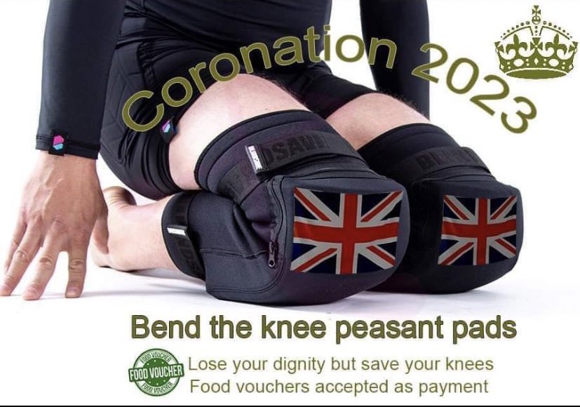 Luiseach's tweet photo. imagine being a voluntary serf and actually swearing that oath next weekend. just imagine kneeling down and putting your full head under the boot of a family of nonces while swearing an oath of allegiance out loud in your living room https://t.co/xQoAa5T2nN