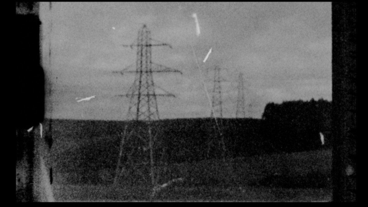 Into The Mothlight Podcast tweet media