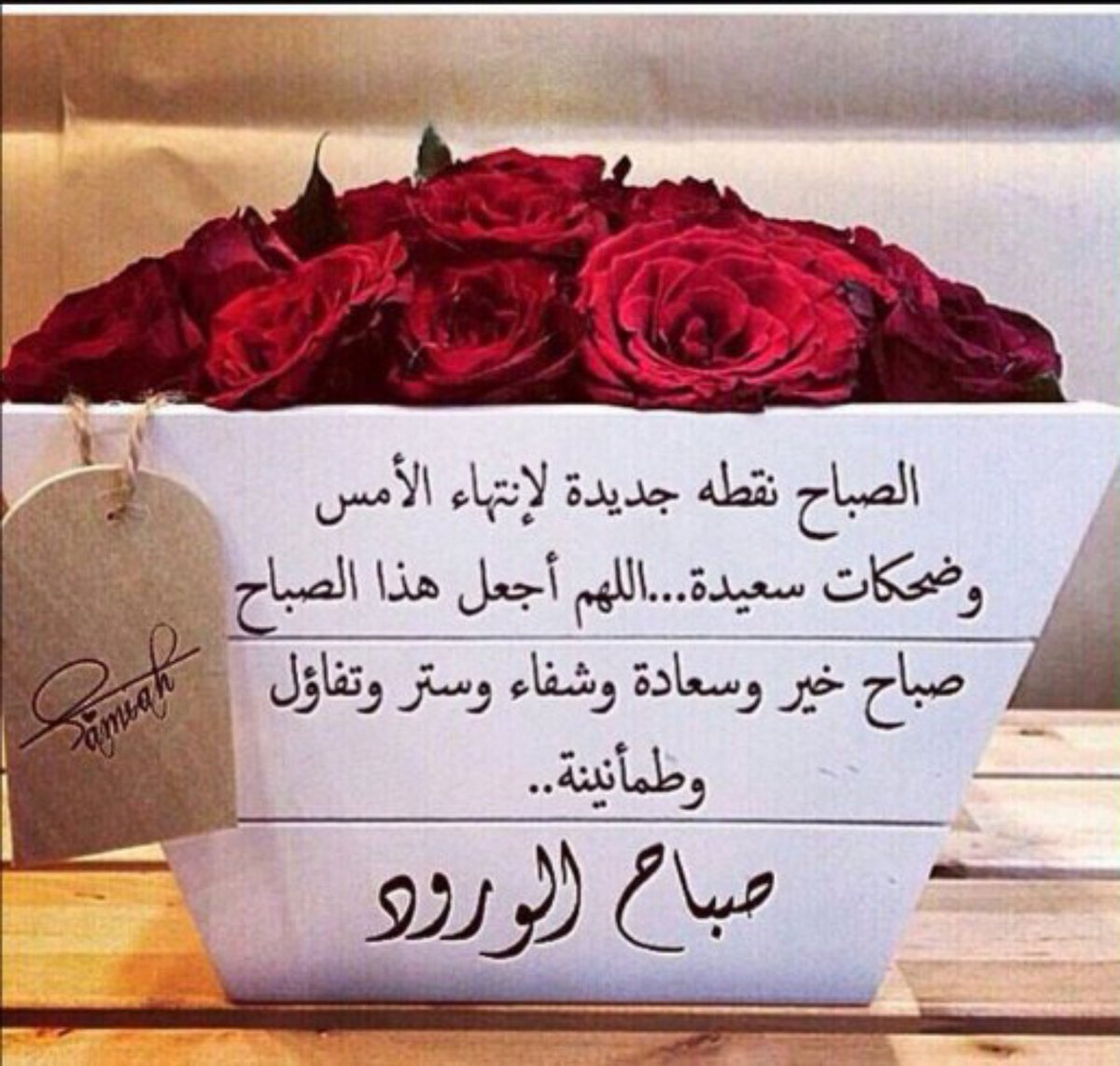 ✨منال✨ tweet media