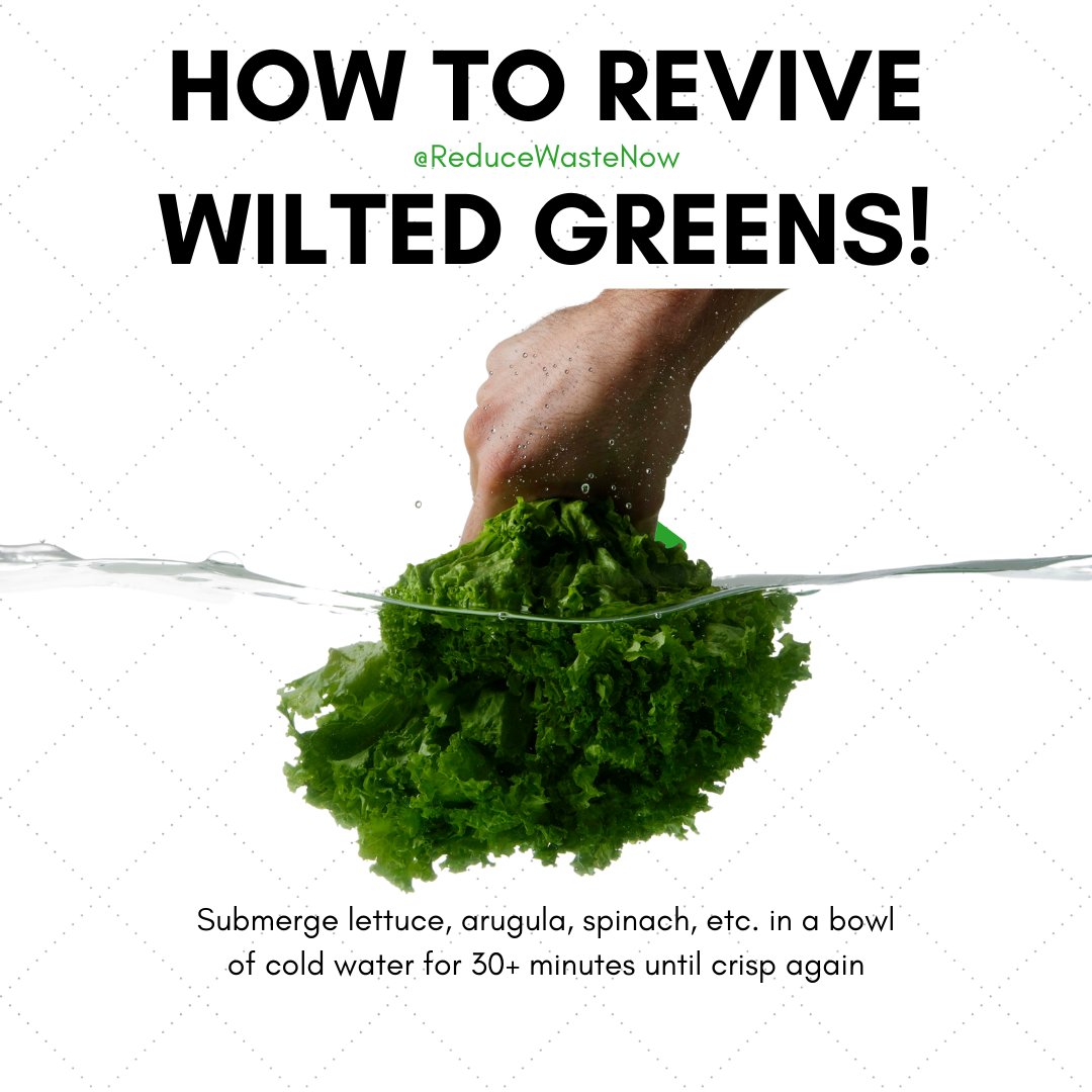 🥗Did you know you can revive sad-looking leafy veg? 🥬

Thanks <a href="/ReduceWasteNow_/">ReduceWasteNow</a>!

#leafygreens #vegetables #foodstorage #foodwaste #reducefoodwaste #frugal #savemoney #sustainableliving #LoveFoodHateWaste #SopWastingFood #ClimateChange #BeTheChange #WasteMinimisation 💚♻️🌈