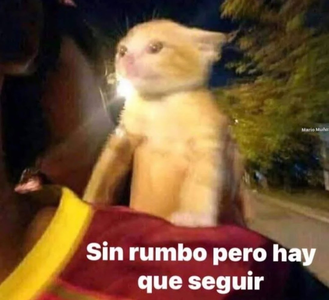 skereunpesado's tweet photo. https://t.co/ypvW8fVf33