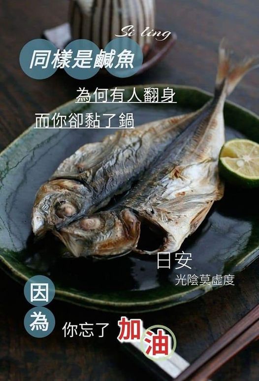 ailili_520's tweet photo. 该加油了！ https://t.co/IOPEWwfaKz
