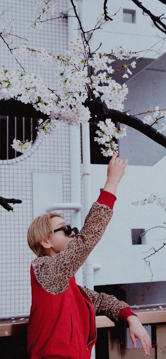 aimee191020's tweet photo. 230430 & #君という桜の花びらが僕の心に舞い降りた x Wallpaper 🎨 📱
#예성 ☁️ #Yesung ☁️ #艺声
#イェソン ☁️ @shfly3424
#Sensory_Flows ☁️ #Floral_Sense
#예성버블 ☁️ #Yesungbubble
🚫All https://t.co/n1iNSeHnSZ