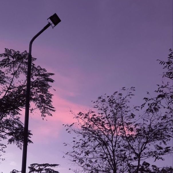 violet✧*。 tweet media