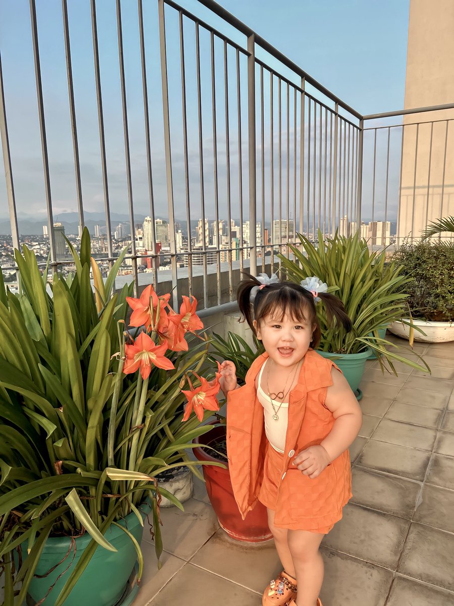 papigalangpo's tweet image. Hapi: Mommy look flowers🤣😍🧡

#BABYHAPI #TOROFAMILY #TOROBABIES #TEAMHAPI #TOROBABY

greatfortune.ph/Checkout?refId…