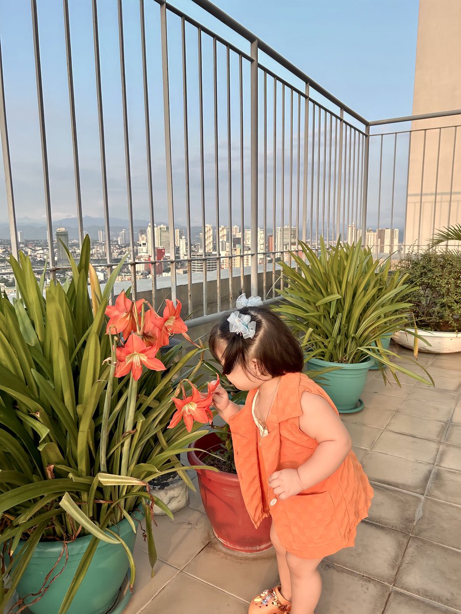 papigalangpo's tweet image. Hapi: Mommy look flowers🤣😍🧡

#BABYHAPI #TOROFAMILY #TOROBABIES #TEAMHAPI #TOROBABY

greatfortune.ph/Checkout?refId…