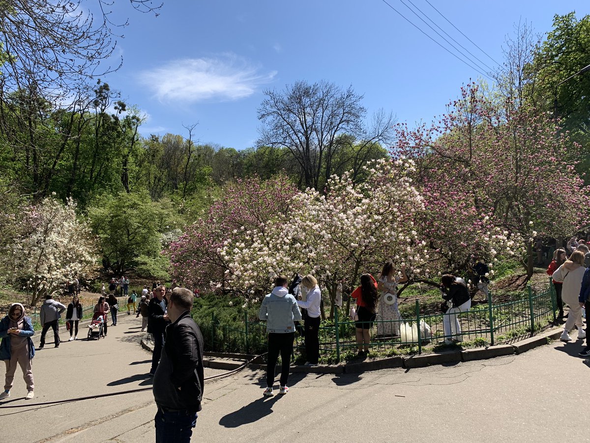 MelSimmonsFCDO's tweet photo. Amid bombings, killings of innocent civilians and feverish talk of counteroffensive, Kyivites flock to the park for selfies among the beautiful magnolias and blossom trees that themselves are impervious to war. https://t.co/n15IjbW0cs