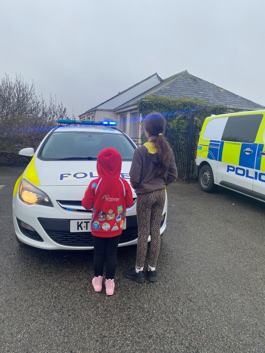 Newquay Police Response tweet media