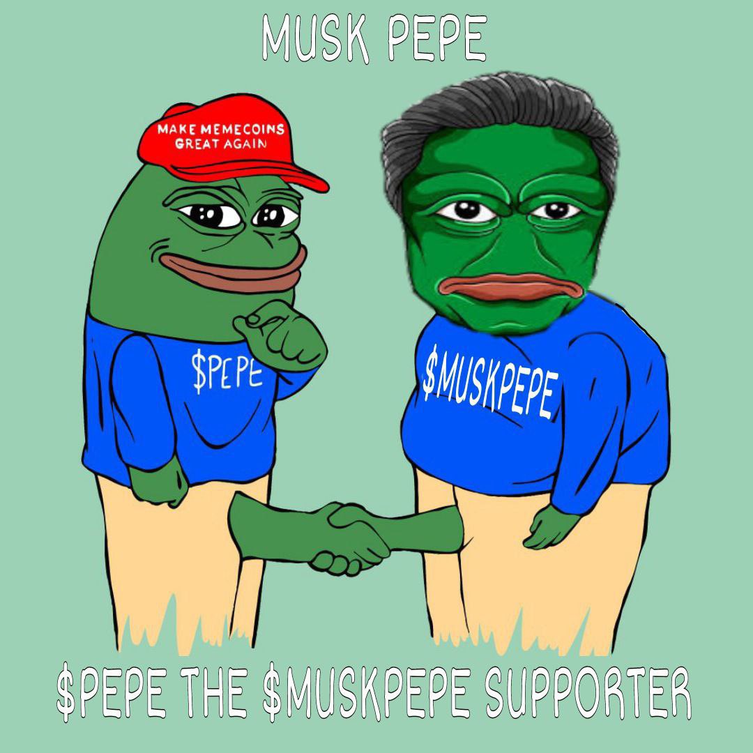 0xDish's tweet photo. What if… Musk meets Pepe? https://t.co/b1PCWOIxnO