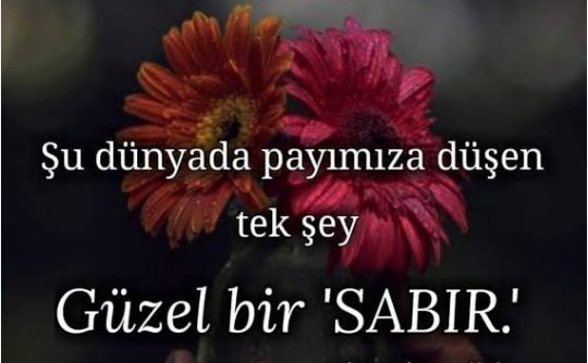 Bora GÜRSOY Soğutma (@borakoray) on Twitter photo 