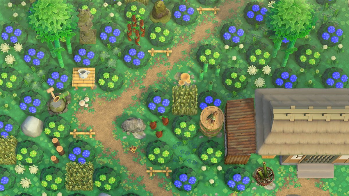 KokejimaEd tweet media