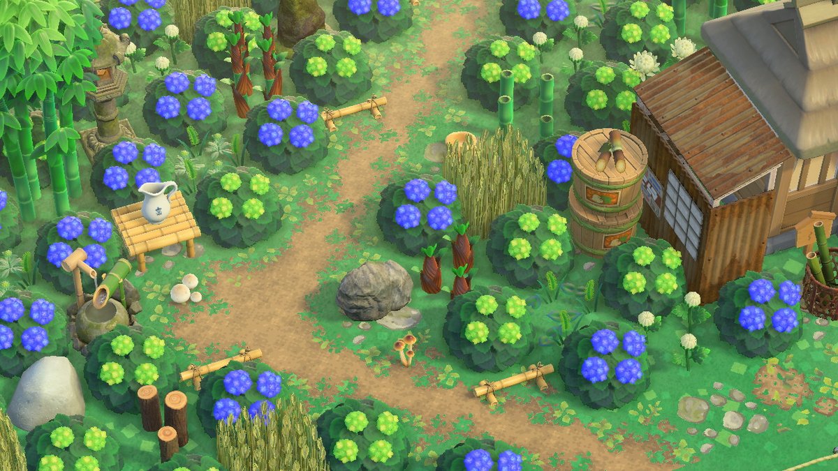 KokejimaEd tweet media