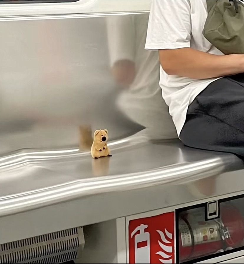 내 취향 사진들 (@myfavzzal) on Twitter photo 