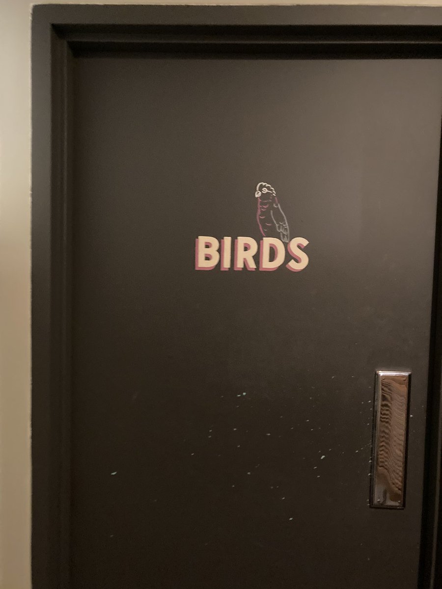 death to “creative” bathroom signage just tell me where I should piss a cockatoo is also a bird why are you doing this to me