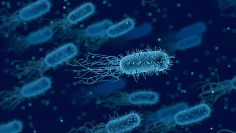 StatNano's tweet photo. Testing Antibiotic Resistance with a Fast, Cheap, and Easy Method

https://t.co/DThc1WQQG2

#Antibiotic #EPFL #optical #microscopy #Nanomotion #opticalmicroscope #camera #mobilephones #StatNano #NBIC #nanotechnology https://t.co/OiBeN2jvy8