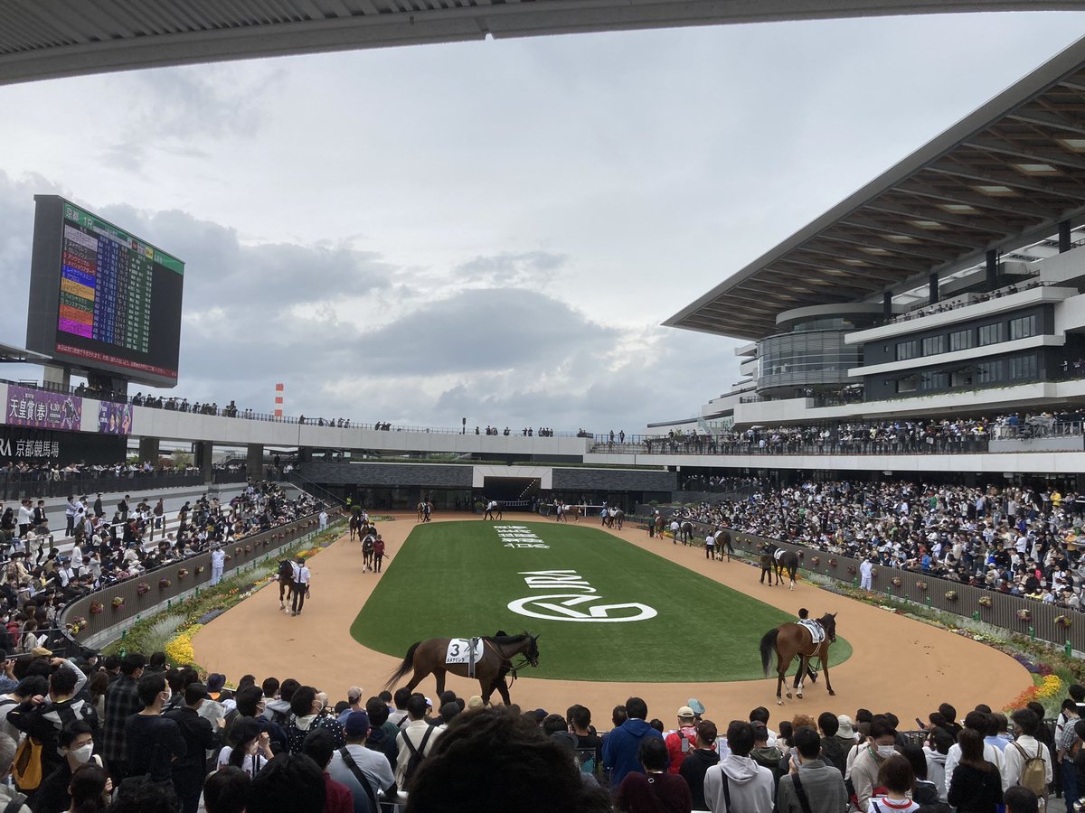 Goripay's tweet photo. 新装開店！！
#京都競馬場 https://t.co/ostkbPeuqZ